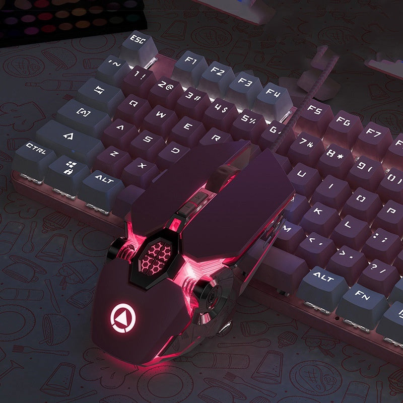 Wired Gaming Mouse with RGB Lights and Silent Macro Buttons